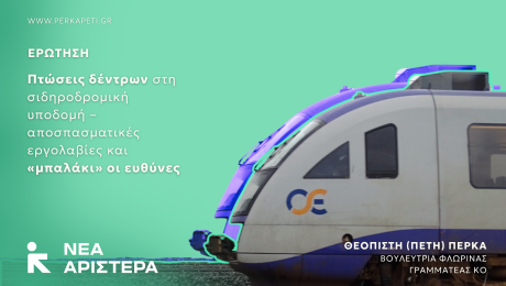 ΟΣΕ_Πτώση δέντρου στη γραμμή